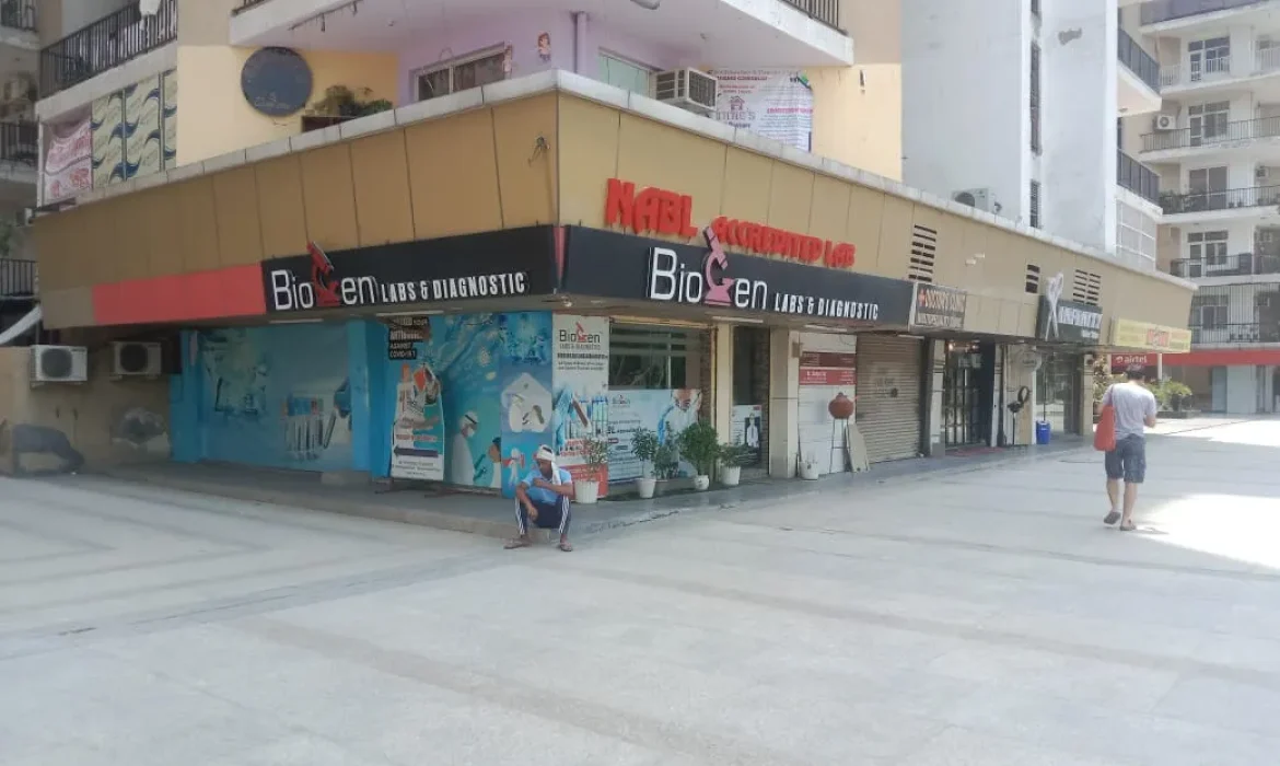 well bazaar 2